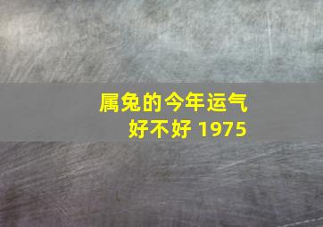 属兔的今年运气好不好 1975